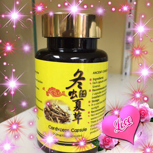 Cordyceps