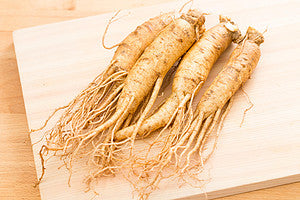 Fresh Panax Ginseng Root