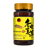 Cordyceps Upgraded